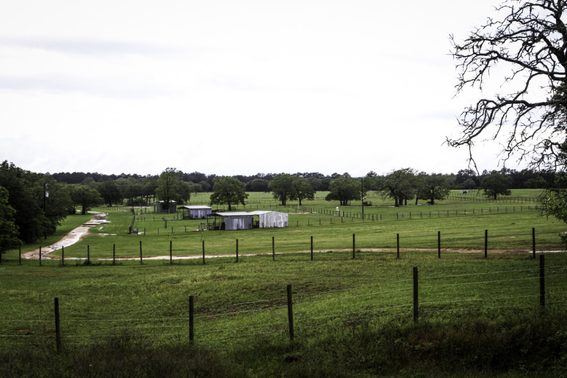 Sandhaven Ranch