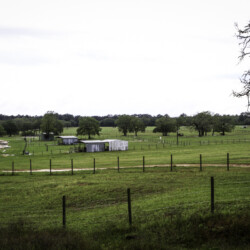 Sandhaven Ranch