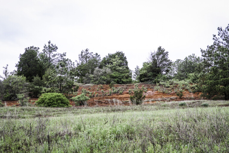 Sandhaven Wildlife Management Program, McDade, Texas