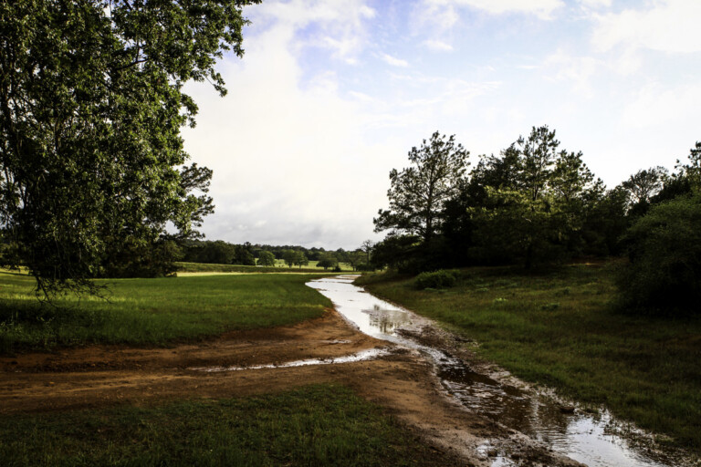 Sandhaven Wildlife Management Program, McDade, Texas