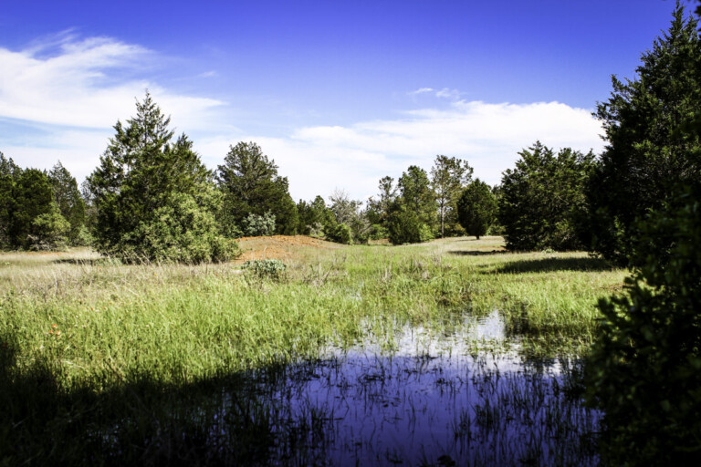 Sandhaven Wildlife Management Program, McDade, Texas