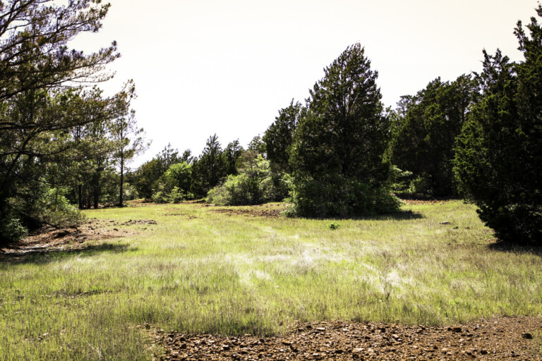 Sandhaven Wildlife Management Program, McDade, Texas