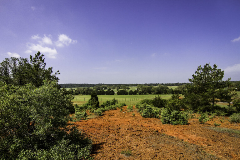 Sandhaven Wildlife Management Program, McDade, Texas