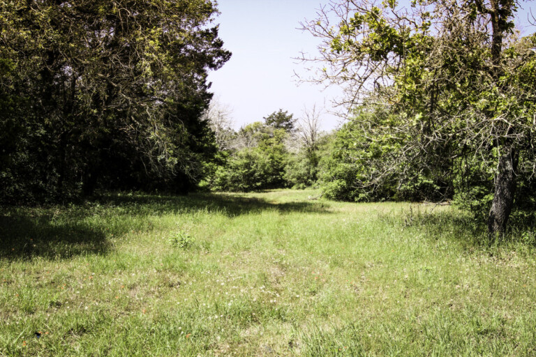 Sandhaven Wildlife Management Program, McDade, Texas