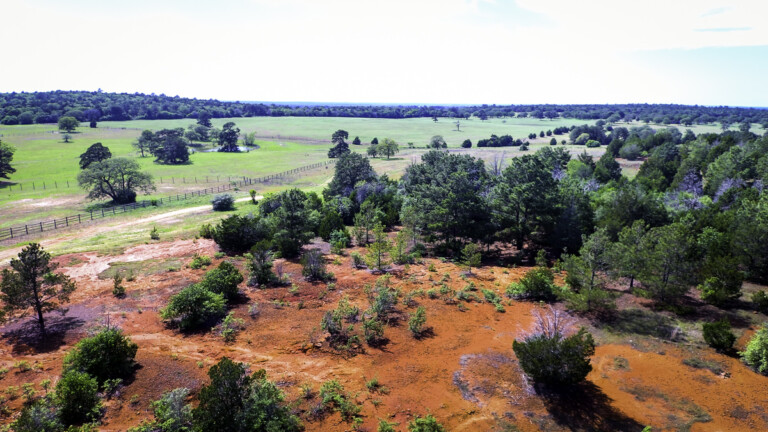 Sandhaven Wildlife Management Program, McDade, Texas