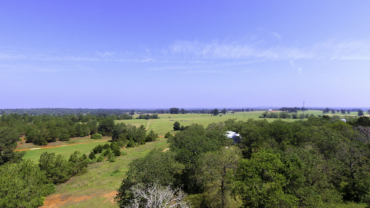 Sandhaven Wildlife Management Program, McDade, Texas